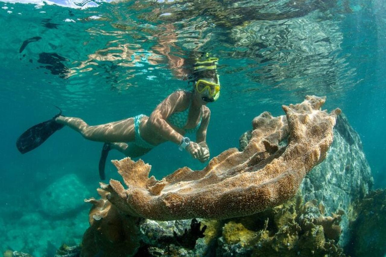 Providenciales: Half-Day Catamaran Sailing Trip with Snorkel Deluxe Half-Day Snorkel - Departing Ritz Carlton