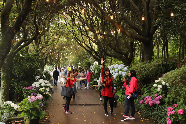 Isola di Jeju: Un tour in furgone con una guida che ama molto JEJU