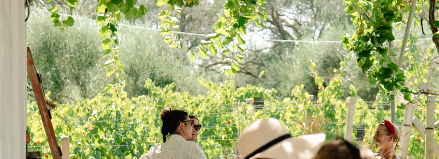 Corfou : visite à vélo électrique avec dégustation de vins et visite d'un domaine viticole