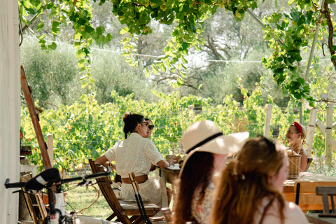 Corfu: E-Bike Tour with Wine Tasting and Winery Visit