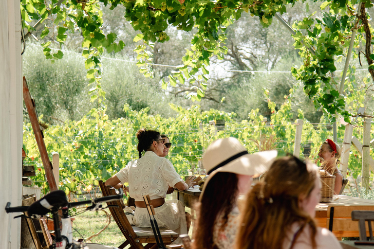 Corfu: E-Bike Tour with Wine Tasting and Winery Visit