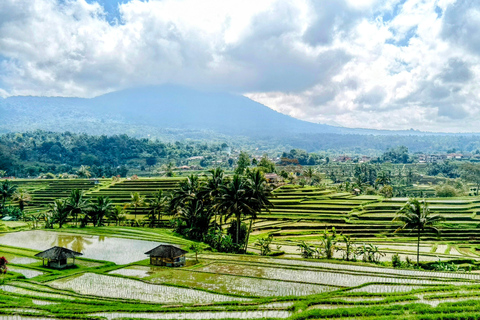 Bali: North Bali Tour With Yeh Hoo Waterfall
