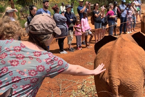 Visites de l'orphelinat des éléphants et du centre des girafes