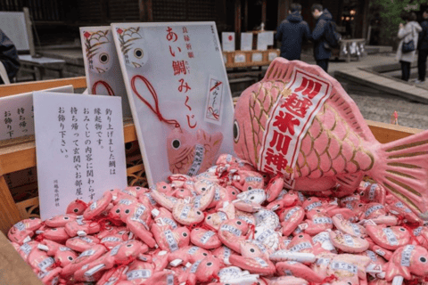 Tokyo - Kawagoe Kawagoe Privat dagsutflykt med upphämtning från hotell