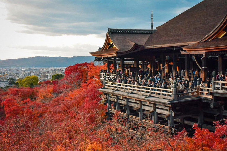 Kyoto: Private Customizable Tour with Driver and Guide