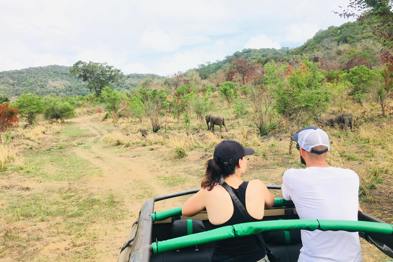 Dambulla/Sigiriya/Habarana: Safari w Parku Narodowym Minneriya