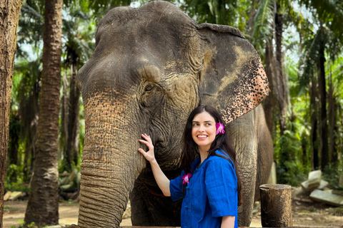 Krabi : L&#039;abri des éléphants et les collines de Khaothong (visite privée)Cuisinez et nourrissez-vous à l&#039;abri des éléphants avec transfert privé