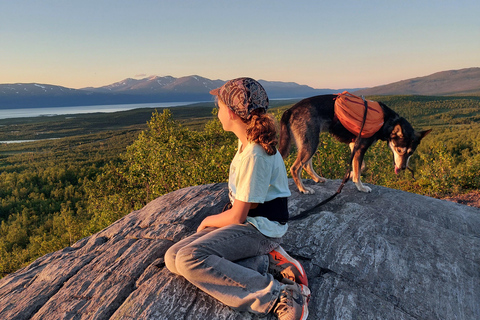 Abisko: Husky Hike in Abisko Valley with Alaskan Huskies