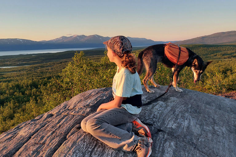 Abisko: Husky Hike in Abisko Valley with Alaskan Huskies