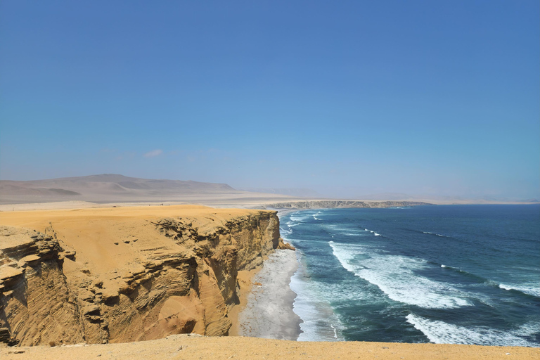 Tour por la reserva de Paracas, las islas Ballestas, Huacachina y las dunasReserva de Paracas, islas Ballestas, Huacachina y dunas