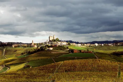 Wein Tour mit Sommelier: Langhe Barolo & Barbaresco