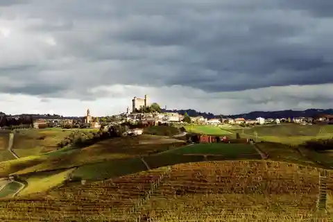 Wijntour met sommelier : Langhe Barolo & Barbaresco