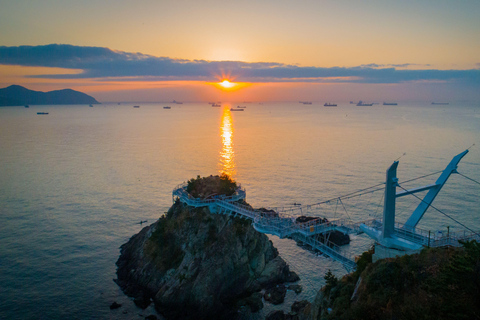 Busan Untold: War History, Hillside Villages & Songdo Cable Shared Group Tour, Depart from Busan Subway Station Exit 3