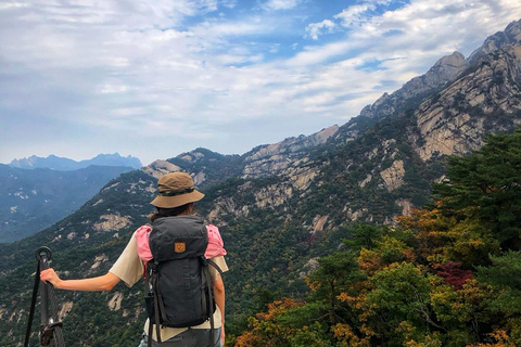 Explore Mt Bukhan's Hidden Trails with a Local Hiking Expert