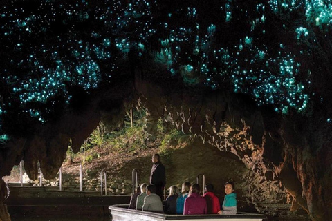 Auckland: Hobbiton& Waitomo private Tour with Hotel Pickup