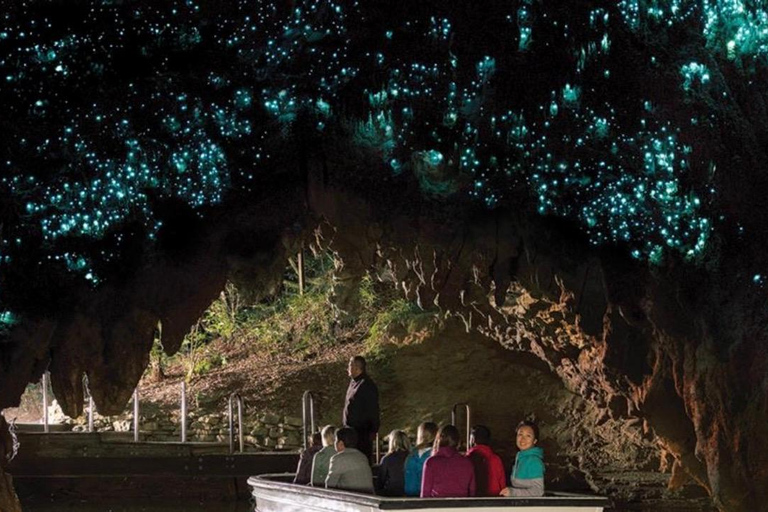 Auckland: Hobbiton& Waitomo private Tour with Hotel Pickup
