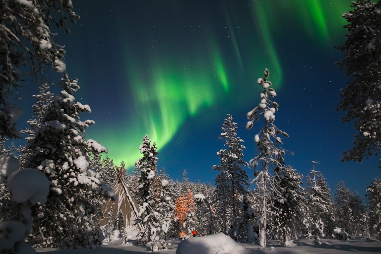 Saariselkä: Excursión con raquetas de nieve para cazar auroras boreales