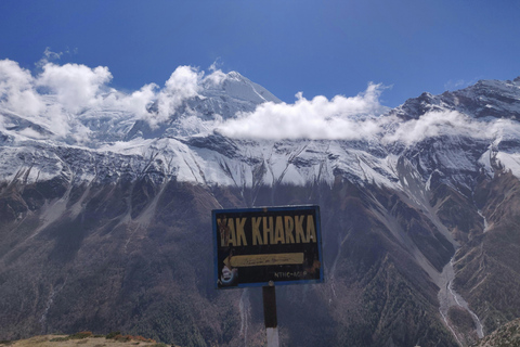 Katmandou : trek de 7 jours sur le circuit de l'Annapurna avec guideKatmandou : Circuit de 7 jours dans l'Annapurna avec guide