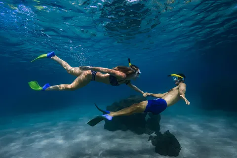 Wailea: Turtle Town Snorkeling Trip with Photo and Video