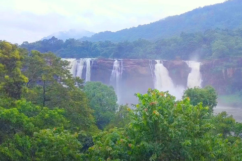 Athirappilly Waterfalls from Cochin – One Day Tour