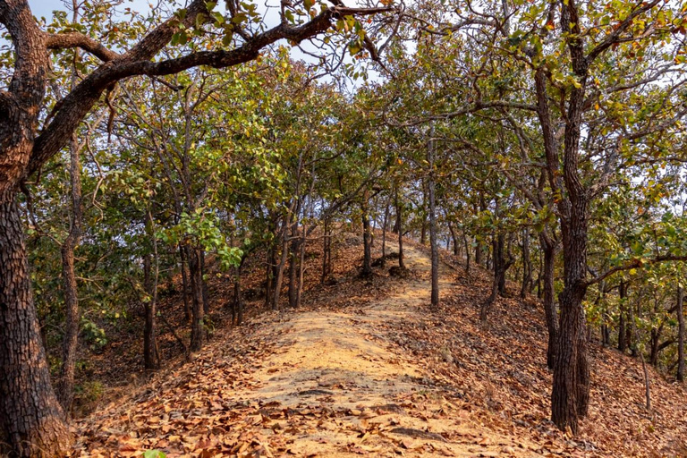 Puerto Vallarta: Jorullo Paradise Hiking Adventure