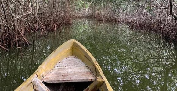 Cartagena: Canoe Tour with Birdwatching Transfers & Snack