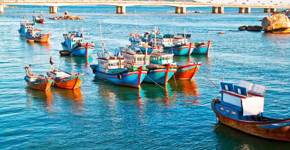 From Cam Ranh Port: Cultural Nha Trang Shore Excursion