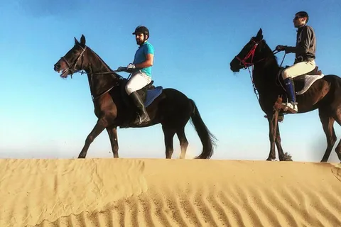 Doha : Esperienza di equitazione privata con servizio di prelievo e rientro