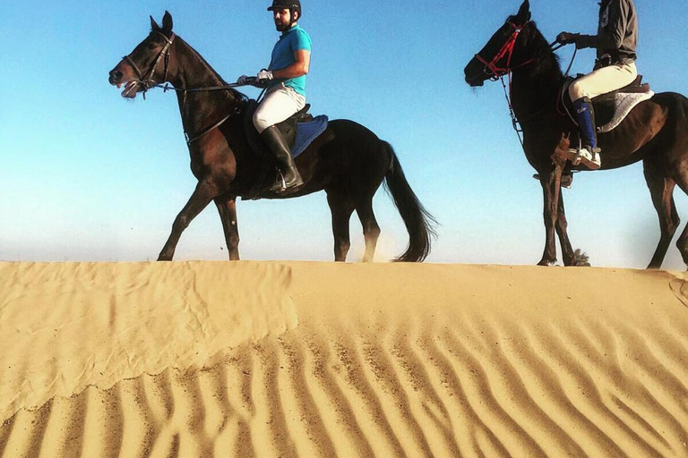 Doha : Private Horse Ride Experience With Pickup &amp; Drop Off