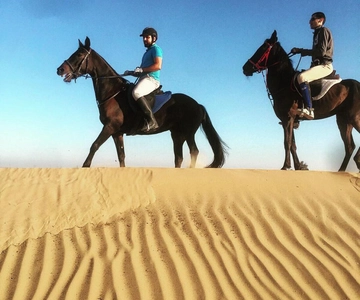 Doha : Esperienza di cavalcata araba con prelievo e rilascio