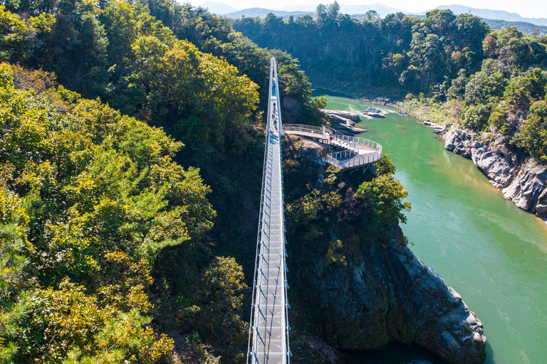 Tour de día completo por la DMZ: 2º Túnel + Sendero del Acantilado desde Seúl2ª Visita al Túnel