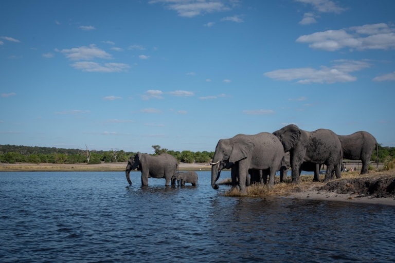 Chobe National Park 3 Tage / 2 Nächte