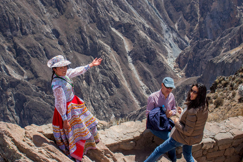 Vanuit Arequipa: Tour naar de Colca Canyon + Transfer naar Cusco