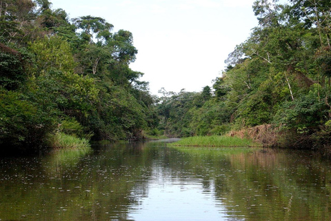 Depuis Iquitos || Aventure de 3 jours sur la rivière Yanayacu || Aventure de 3 jours sur la rivière Yanayacu || Aventure de 2 jours sur la rivière Yanayacu