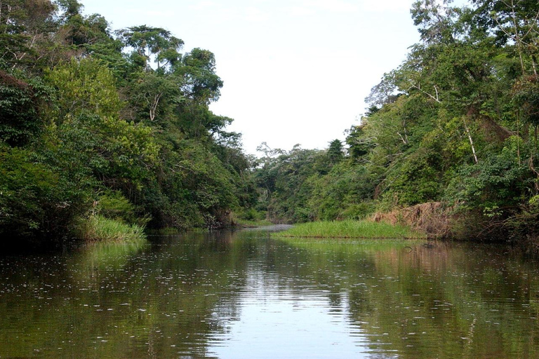 Depuis Iquitos || Aventure de 3 jours sur la rivière Yanayacu || Aventure de 3 jours sur la rivière Yanayacu || Aventure de 2 jours sur la rivière Yanayacu