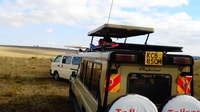 Nairobi National Park Ganz-/Halbtagestour & Guide + Pick/Drop - Hizvo