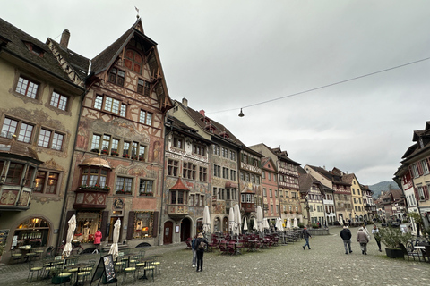 From Zurich: Private Tour to Rheinfalls and Stein am Rhein