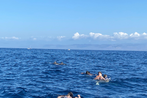 Puerto Escondido: Bootstour zu Delfinen und MeerestierenPrivate Tour