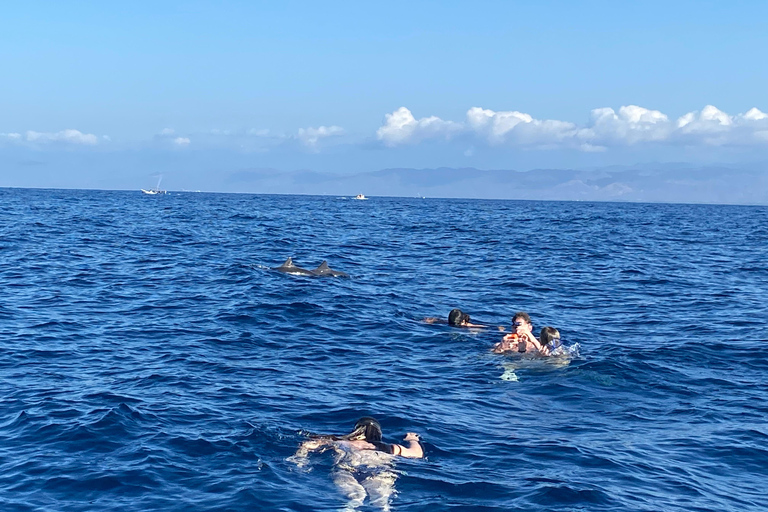 Puerto Escondido: Bootstour zu Delfinen und MeerestierenPrivate Tour