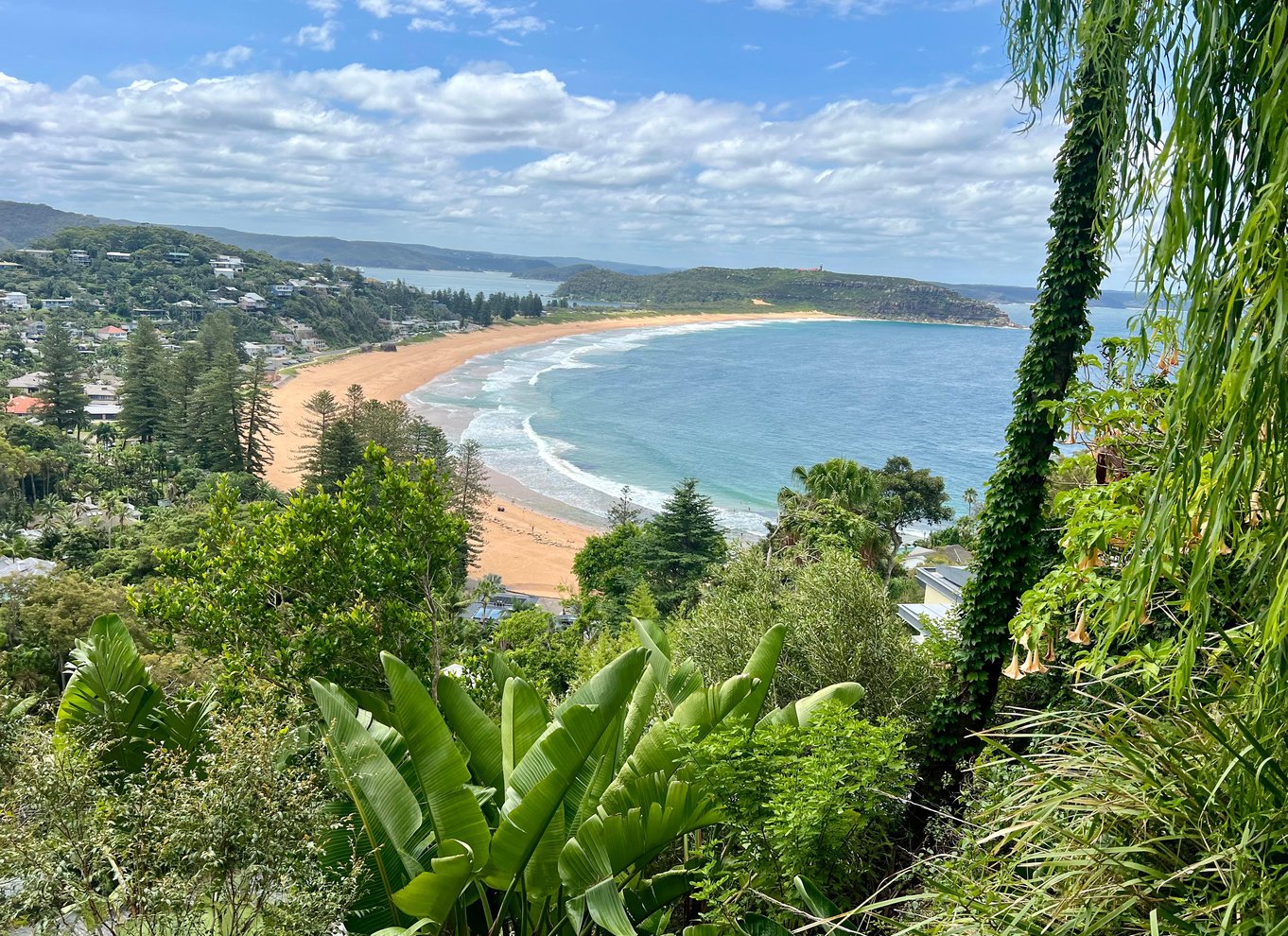 Sydney: Northern Beaches and Ku-ring-gai National Park Tour