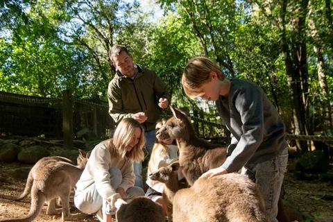 Byron Bay Wildlife Sanctuary Entry Ticket
