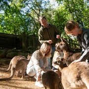 Byron Bay Wildlife Sanctuary Entry Ticket