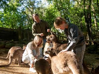Biglietto d'ingresso al Byron Bay Wildlife Sanctuary