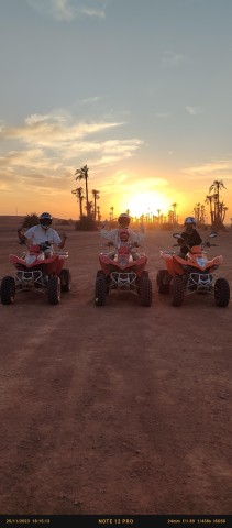 Visit Marrakech Quad Ride in the Palmerie Desert in Marrakesh