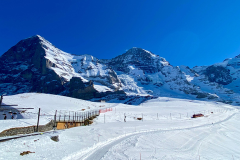 Z Berna: Jungfrau's Region Discovery Wycieczka prywatna