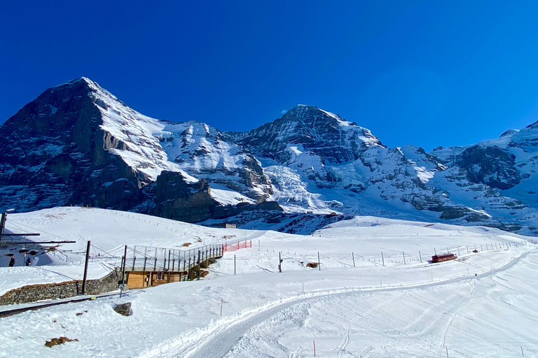 Au départ de Berne : Visite privée à la découverte de la région de la Jungfrau