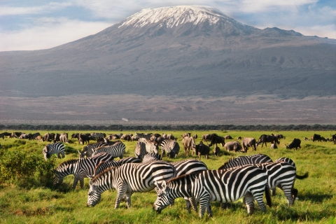 3 jours de safari dans le parc national d'Amboseli à l'AA Lodge