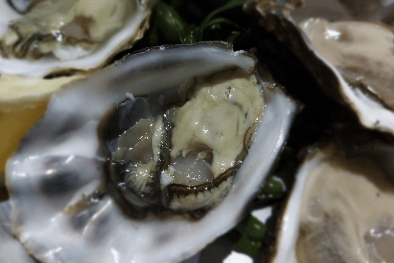 Oosterschelde: Guided Tour in Search of Salty Shellfish