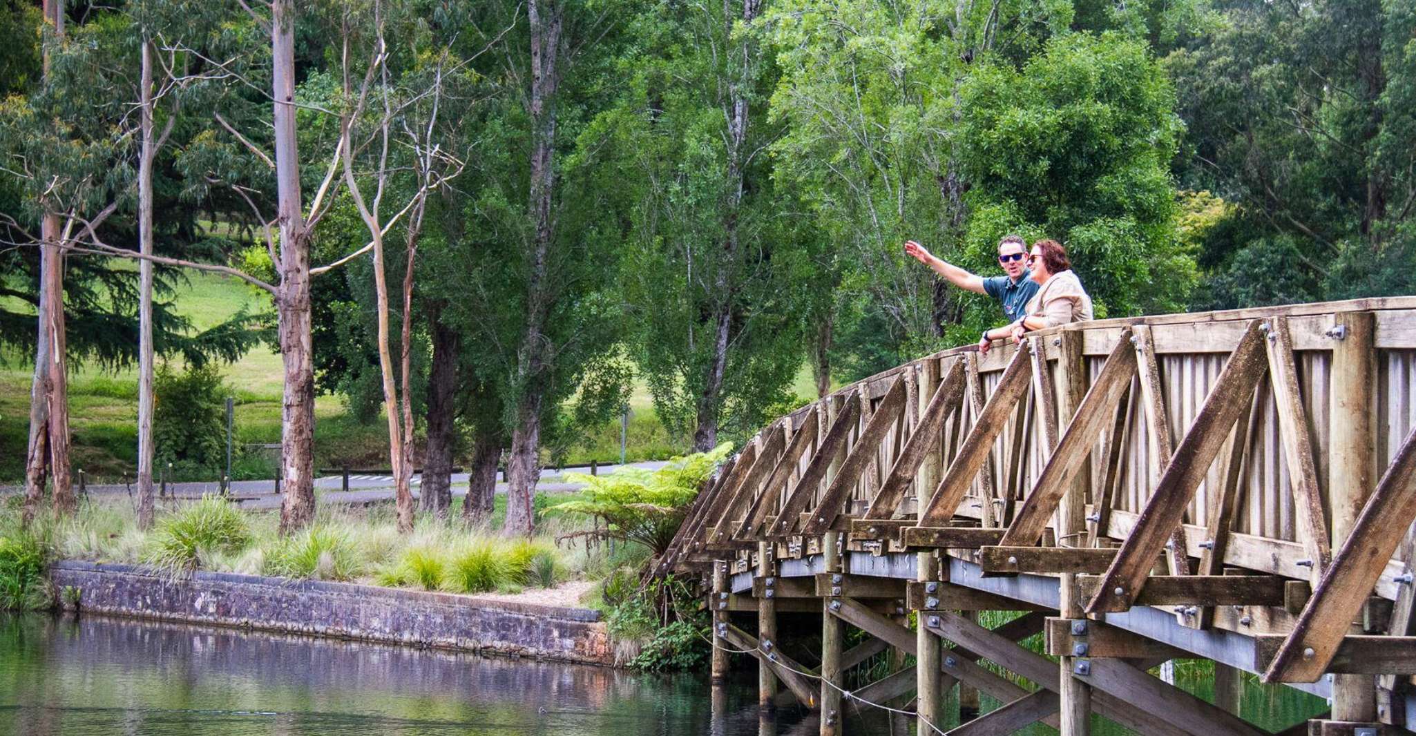 Melbourne: Half-Day Puffing Billy Steam Train Experience photo 16