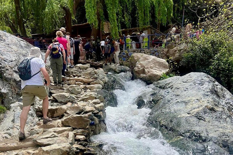 Marrakech: ourika valley lunch & guided hike to waterfalls Option 2: Ourika Valley Guided Trip with Lunch Included